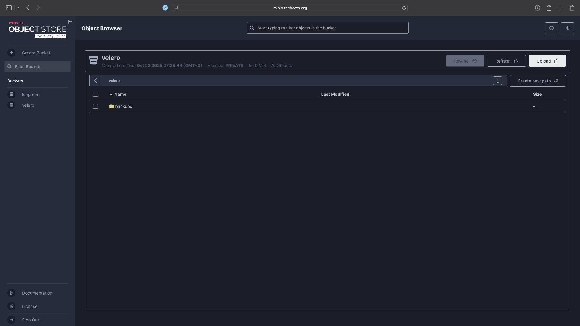minio buckets dashboard view